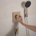 Ручний душ Hansgrohe Raindance Alive Select S, 24511140 EcoSmart, бронза