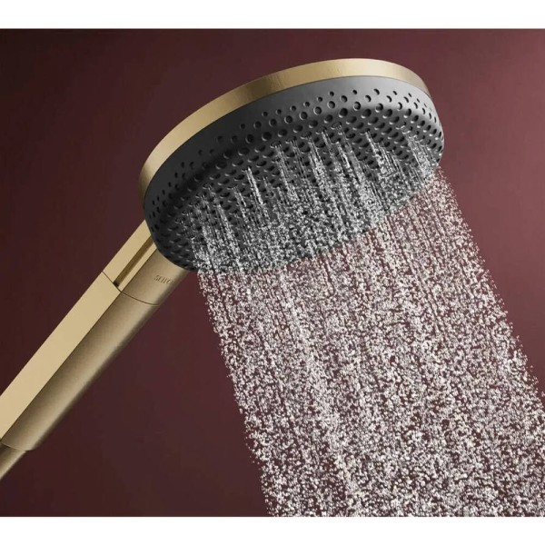 Ручний душ Hansgrohe Raindance Alive Select S, 24511140 EcoSmart, бронза