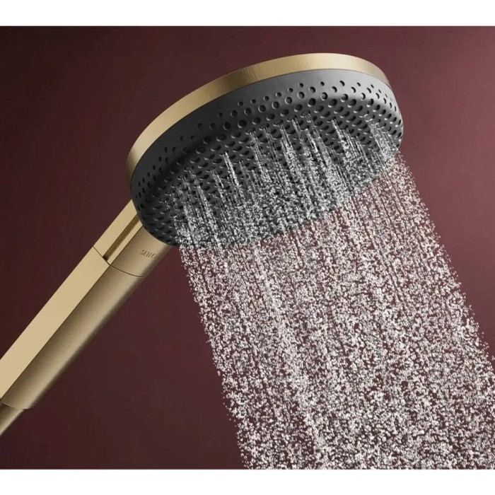 Ручний душ Hansgrohe Raindance Alive Select S, 24511140 EcoSmart, бронза