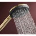Ручний душ Hansgrohe Raindance Alive Select S, 24511140 EcoSmart, бронза