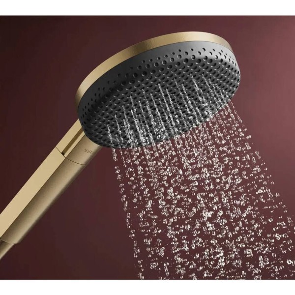 Ручний душ Hansgrohe Raindance Alive Select S, 24511140 EcoSmart, бронза
