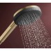 Ручний душ Hansgrohe Raindance Alive Select S, 24511140 EcoSmart, бронза
