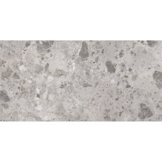 Керамограніт Ceramica Deseo Ambra Сірий L72980 60Х120 см