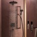 Ручний душ Hansgrohe Raindance Alive Select S 24511670 EcoSmart, чорний матовий