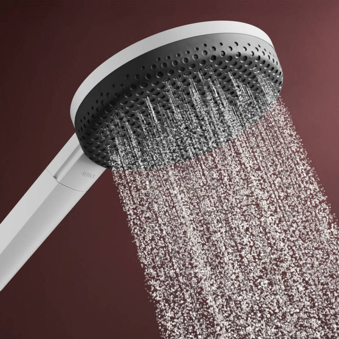 Ручний душ hansgrohe Raindance Alive Select S 24511700 EcoSmart, білий матовий
