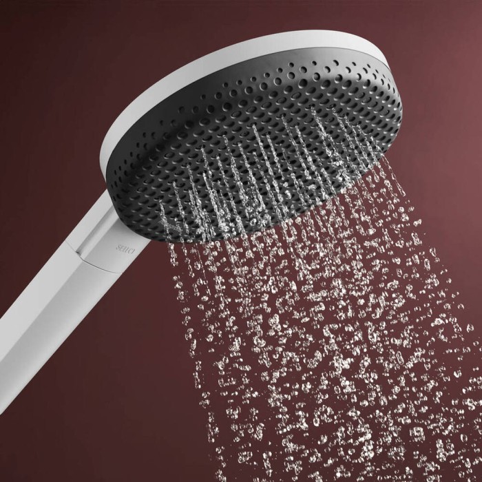 Ручний душ hansgrohe Raindance Alive Select S 24511700 EcoSmart, білий матовий