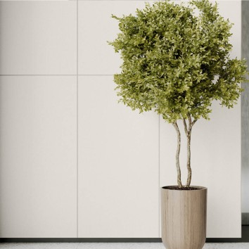 Керамограніт Cerrad Monolight Exterior White Rect 60x60 см