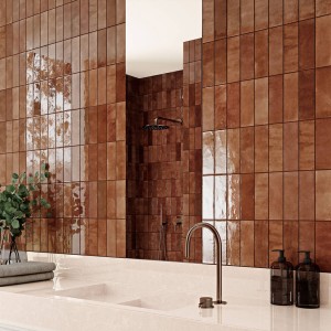 Плитка Almera Ceramica (Spain) Bliss Cotto 6,5x20 см