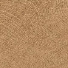 Керамограніт Emil Ceramica (Provenza) W-Circles ENJE WCI Walnut 10х10 см