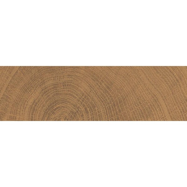 Керамограніт Emil Ceramica (Provenza) W-Circles Enja Wci Walnut 5,3х30 см