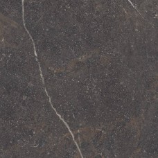 Керамограніт Peronda Royal Brown Sp/R 100x100 см