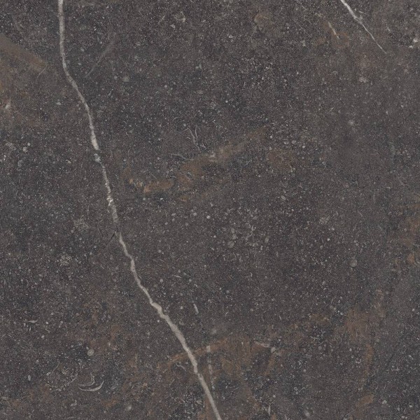 Керамограніт Peronda Royal Brown Sp/R 100x100 см