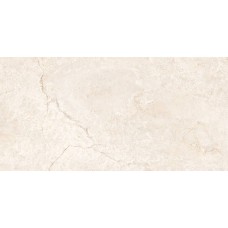Керамограніт Almera Ceramica Ec. Bruma Bone 60х120 см