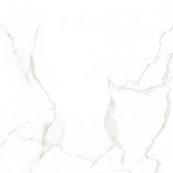 Керамограніт Ceramica Deseo CE6Y025PA AMARETTO 60x60 см