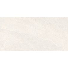 Керамограніт Almera Ceramica-2 EFM126H220A MONET GRANULAR 60х120 см