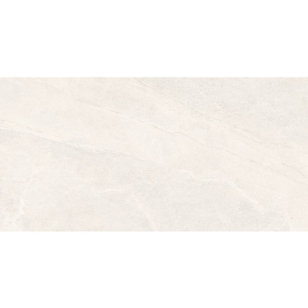 Керамограніт Almera Ceramica-2 EFM126H220A MONET GRANULAR 60х120 см