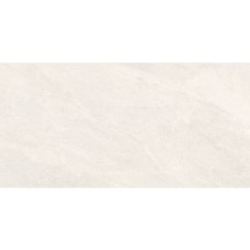 Керамограніт Almera Ceramica-2 EFM126H220A MONET GRANULAR 60х120 см