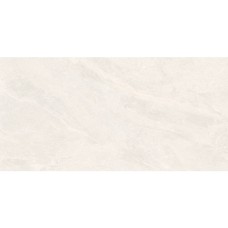 Керамограніт Almera Ceramica-2 EFM126H220A MONET GRANULAR 60х120 см