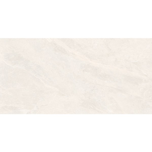 Керамограніт Almera Ceramica-2 EFM126H220A MONET GRANULAR 60х120 см