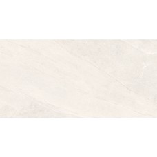 Керамограніт Almera Ceramica-2 EFM126H220A MONET GRANULAR 60х120 см