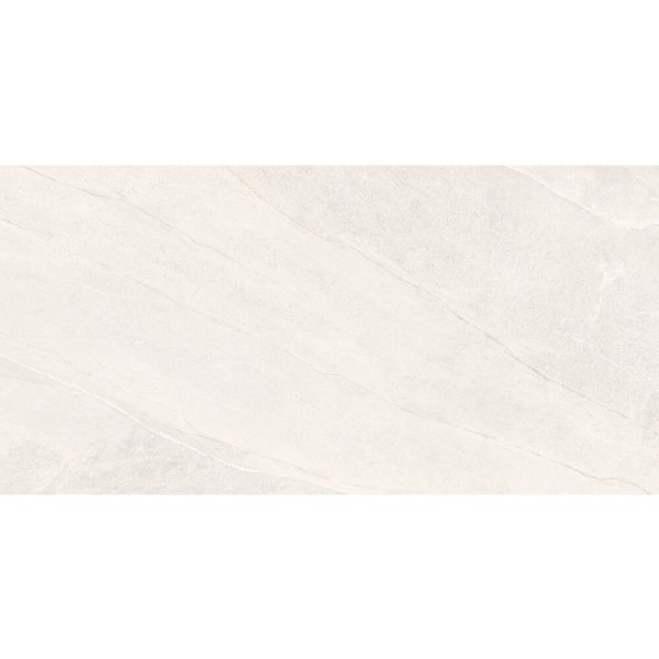 Керамограніт Almera Ceramica-2 EFM126H220A MONET GRANULAR 60х120 см