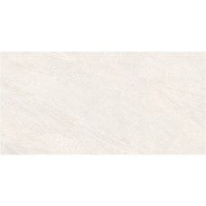 Керамограніт Almera Ceramica-2 EFM126H220A MONET GRANULAR 60х120 см