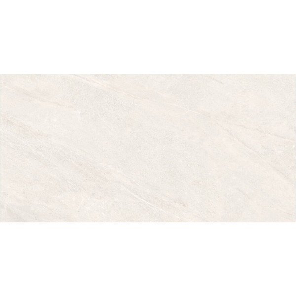 Керамограніт Almera Ceramica-2 EFM126H220A MONET GRANULAR 60х120 см