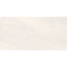 Керамограніт Almera Ceramica-2 EFM126H220A MONET GRANULAR 60х120 см