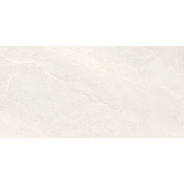 Керамограніт Almera Ceramica-2 EFM126H220A MONET GRANULAR 60х120 см
