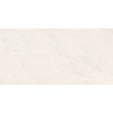 Керамограніт Almera Ceramica-2 EFM126H220A MONET GRANULAR 60х120 см