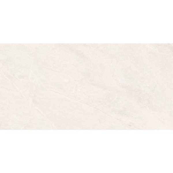 Керамограніт Almera Ceramica-2 EFM126H220A MONET GRANULAR 60х120 см