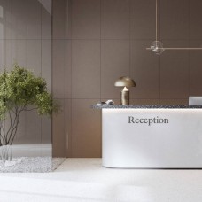 Керамограніт Cerrad Gres Monolight Exterior Rect 60x60 см