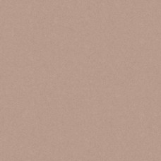 Керамограніт Cerrad Monolight Exterior Mocca Rect 60x60 см