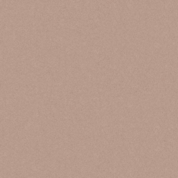 Керамограніт Cerrad Monolight Exterior Mocca Rect 60x60 см