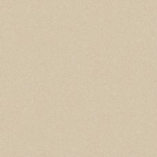 Керамограніт Cerrad Gres Monolight Exterior Beige Rect. 60x60 см