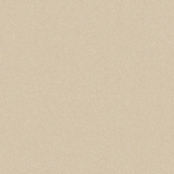 Керамограніт Cerrad Gres Monolight Exterior Beige Rect. 60x60 см