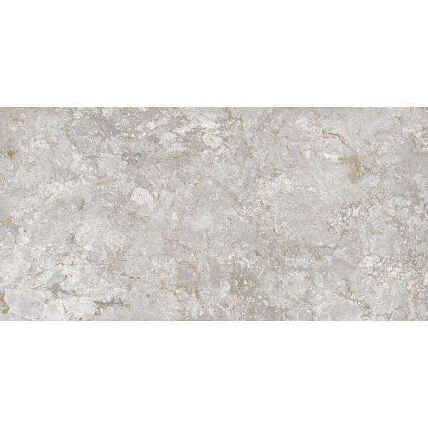 Керамограніт Almera Ceramica-2 AMBROSIA RELIEF LIGHT GREY 60x120 см