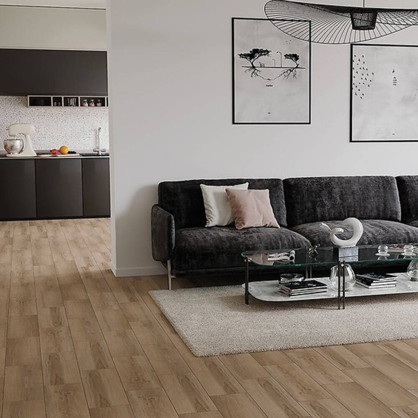 Керамограніт Cersanit Glenwood 18,5x59,8 см