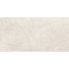 Керамограніт Mirage Regea RA 10 SP SQ 60x119,7 см