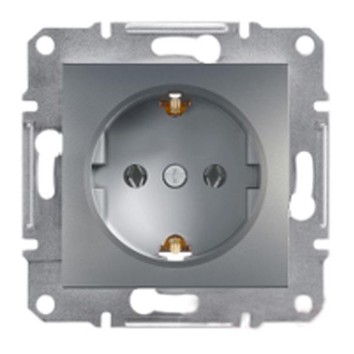 Розетка з заземленням Сталь ASFORA (EPH2900162), Schneider Electric