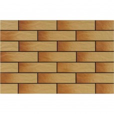Клінкер Cerrad Gobi Rustico 6,5x24,5 см
