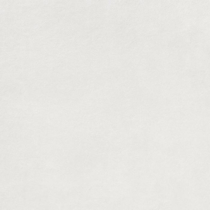 Керамогранит Lasselsberger Rako Extra DAR63722 white 10×598×598 под бетон