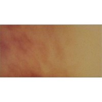 Клінкер Cerrad Podloga Lisc Jesienny 30x14,8 см
