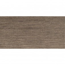 Керамограніт Lasselsberger Rako Defile Daase362 Kalibrovane 29,5x59,5 см