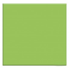 Керамограніт Almera Ceramica Rainbow Gmm40160P Green 60x60 см
