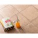 Клинкер COTTAGE PODLOGA COTTAGE MASALA 9×300×300