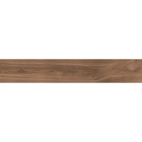 Керамограніт Almera Ceramica (Spain) Selva Teka R Pri. 22,5x119,5 см