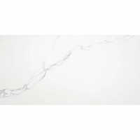 Керамограніт Alaplana Pune P.E. Blanco Mate 60x120 см