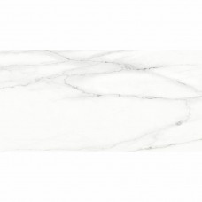 Керамограніт Termal Seramik Lincoln Full Lappato 60x120 см