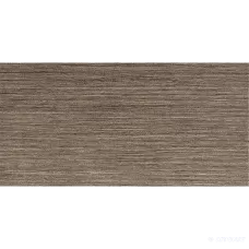 Керамограніт Lasselsberger Rako Defile Daase362 Kalibrovane 29,5x59,5 см